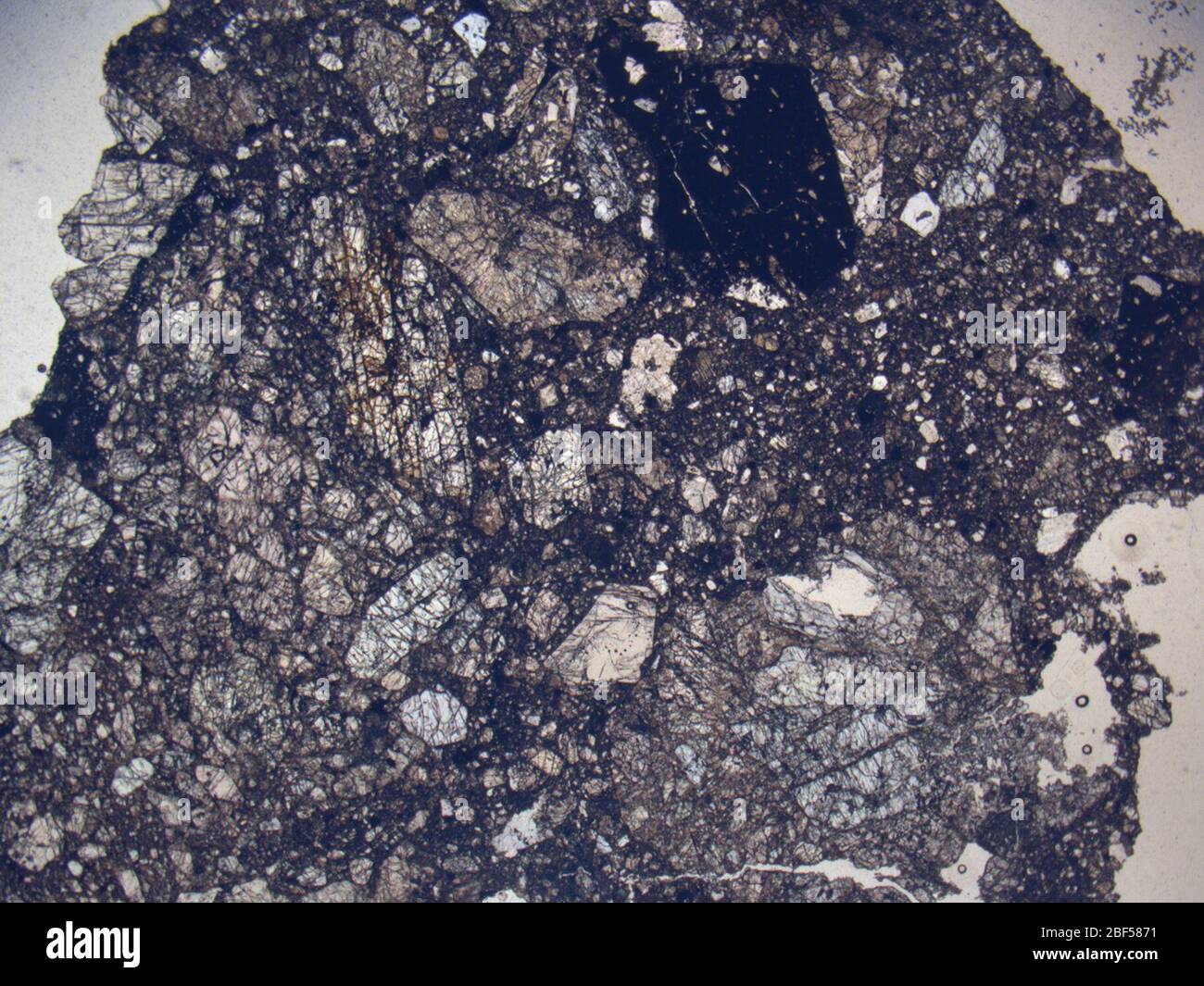 Micrograph of PCA 02013,2 meteorite under plane-polarized light at 1 ...