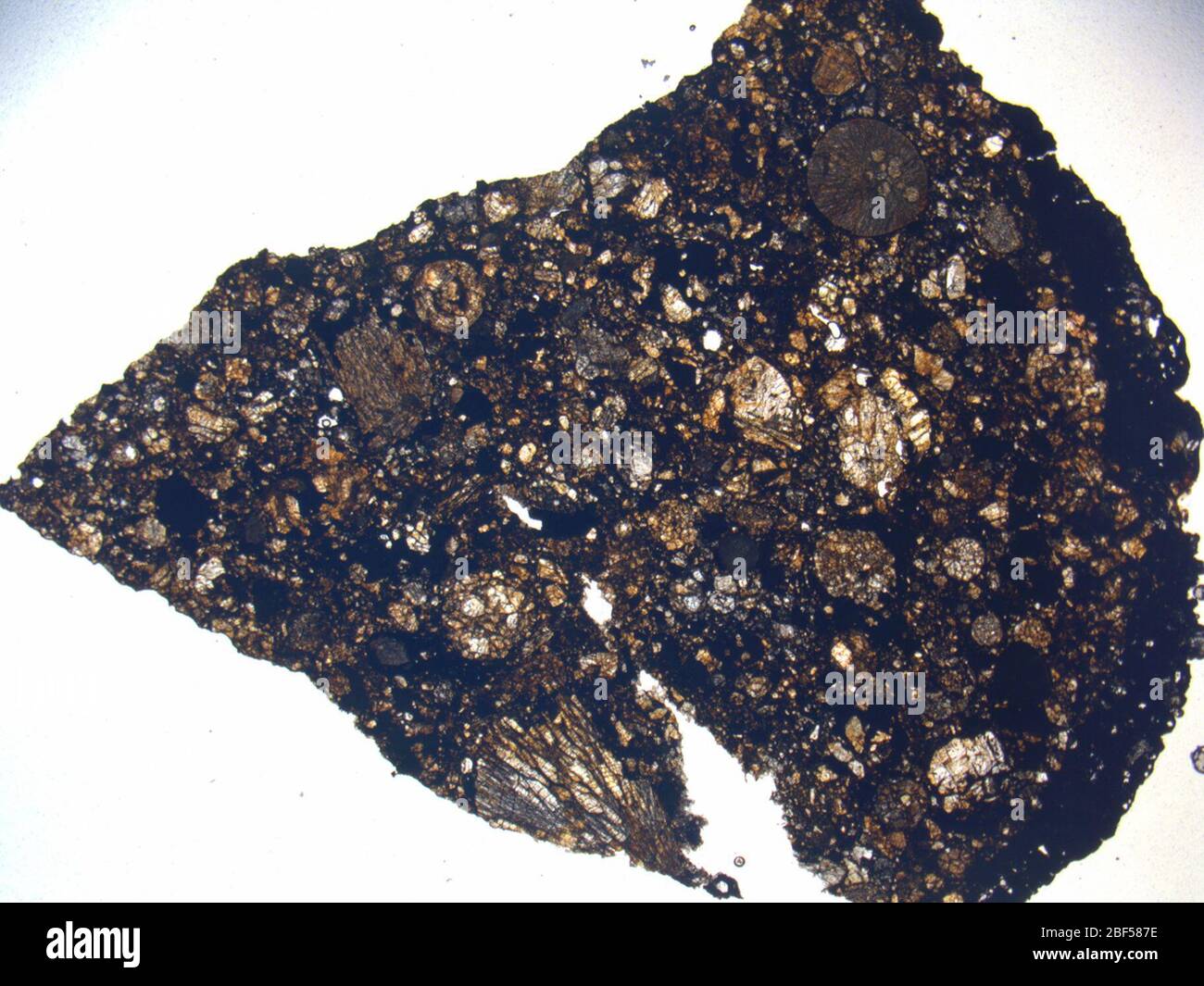 Micrograph of LAP 031248,2 meteorite under plane-polarized light at 1 ...