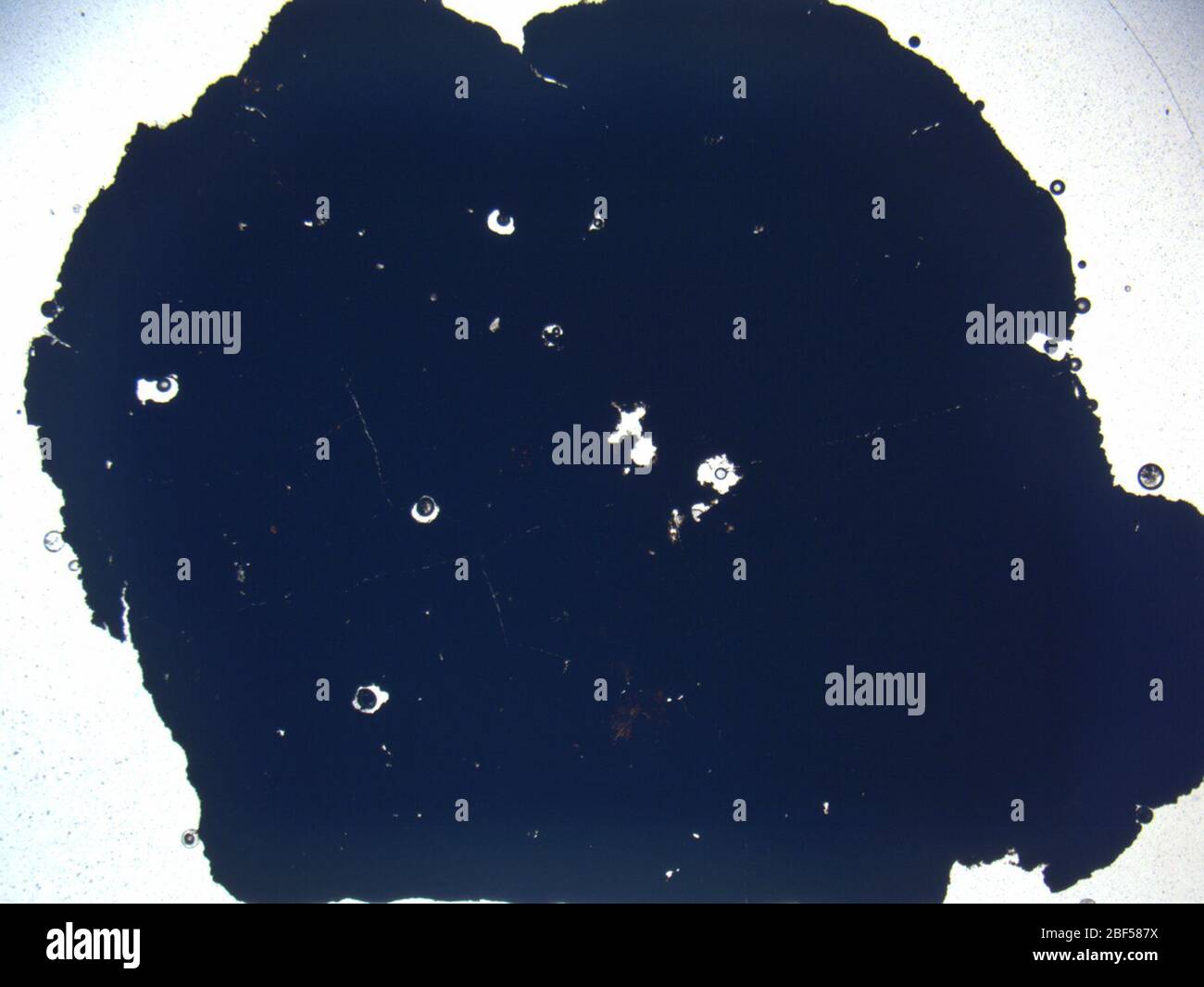 Micrograph of LAP 04824,2 meteorite under plane-polarized light at 1 ...