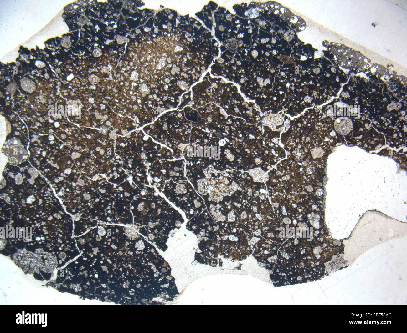 Micrograph of ALHA81312,1 meteorite under plane-polarized light at 1.25x magnification. Stock Photo