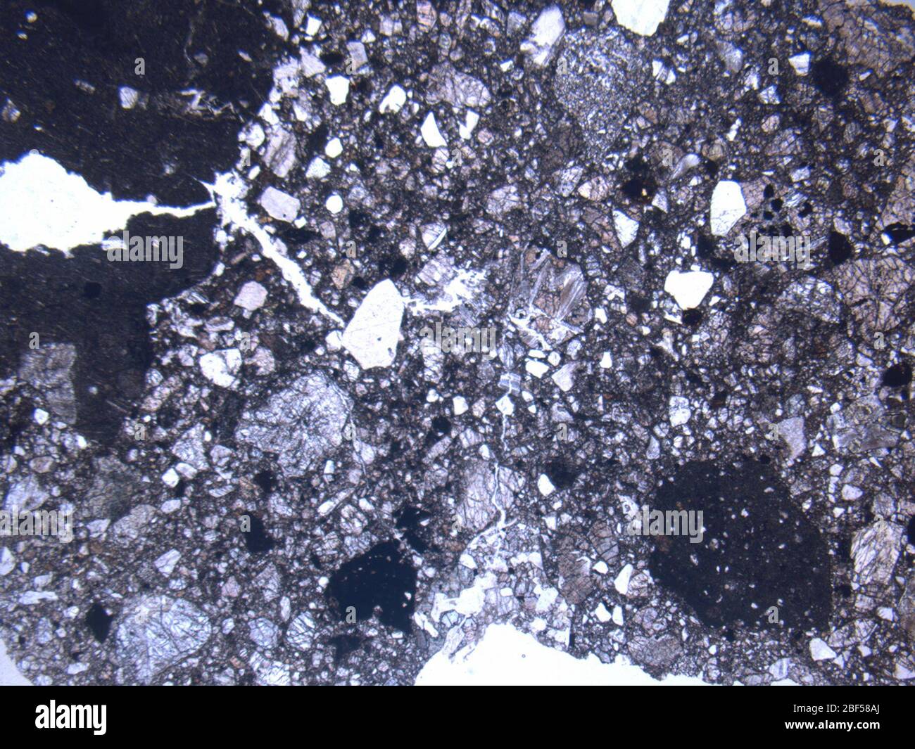 Micrograph of DOM 10100,2 meteorite under plane-polarized light at 1 ...