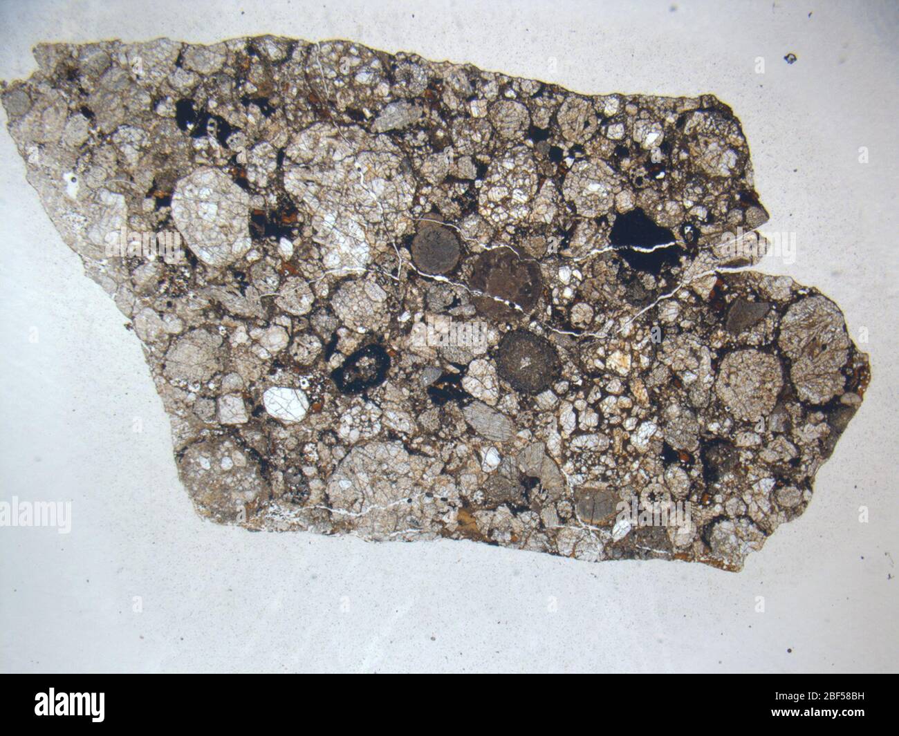 Micrograph of ALHA77260,11 meteorite under plane-polarized light at 1.25x magnification. Stock Photo