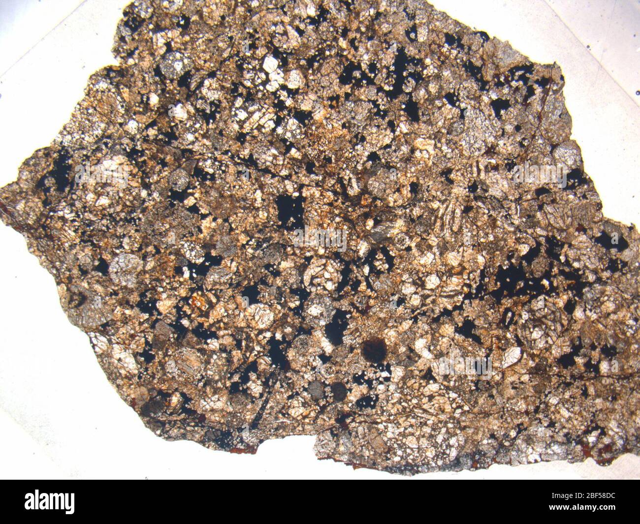Micrograph of ALHA81058,3 meteorite under plane-polarized light at 1.25x magnification. Stock Photo
