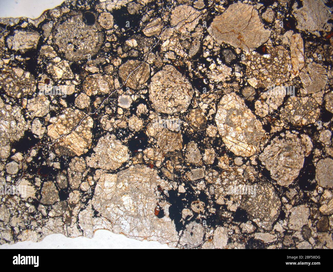 Micrograph of ALHA81251,4 meteorite under plane-polarized light at 1.25x magnification. Stock Photo