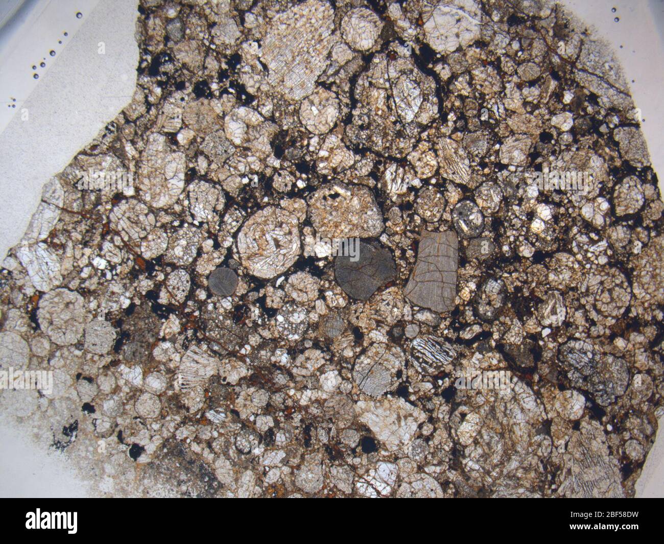 Micrograph of ALHA79001,4 meteorite under plane-polarized light at 1.25x magnification. Stock Photo