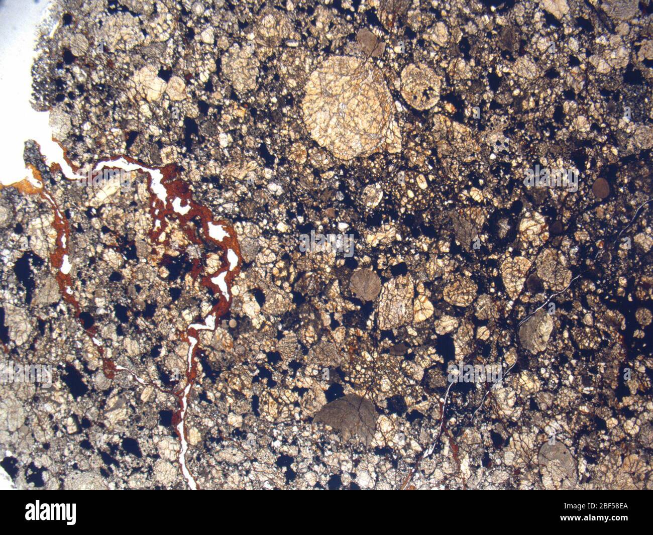 Micrograph of RKPA80207,2 meteorite under plane-polarized light at 1.25x magnification. Stock Photo