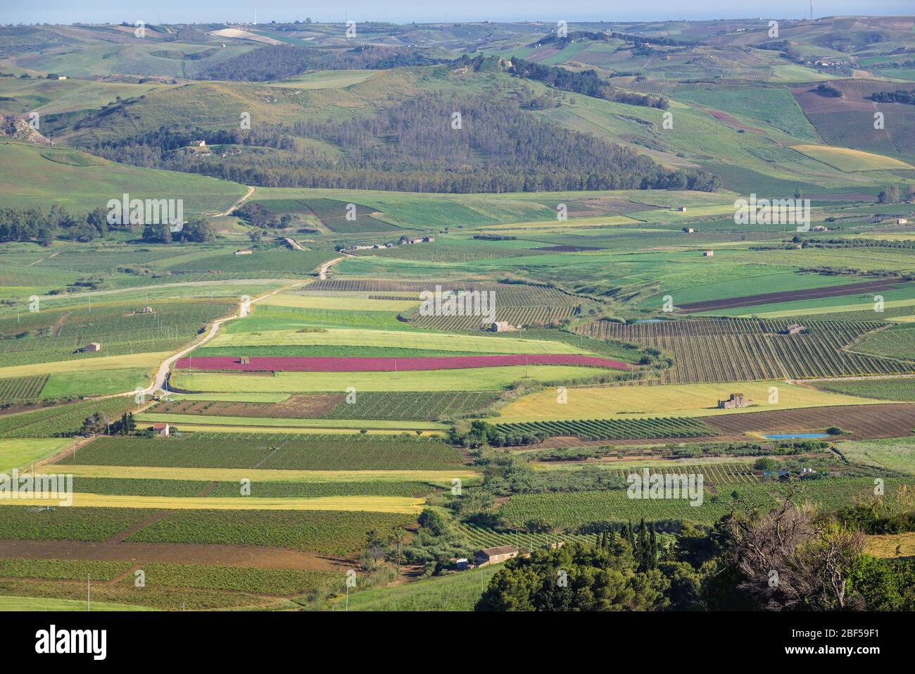 Patchwork of fields and vineyards in Belice valley seen from Salemi town located in the province of Trapani in southwestern Sicily, Italy Stock Photo