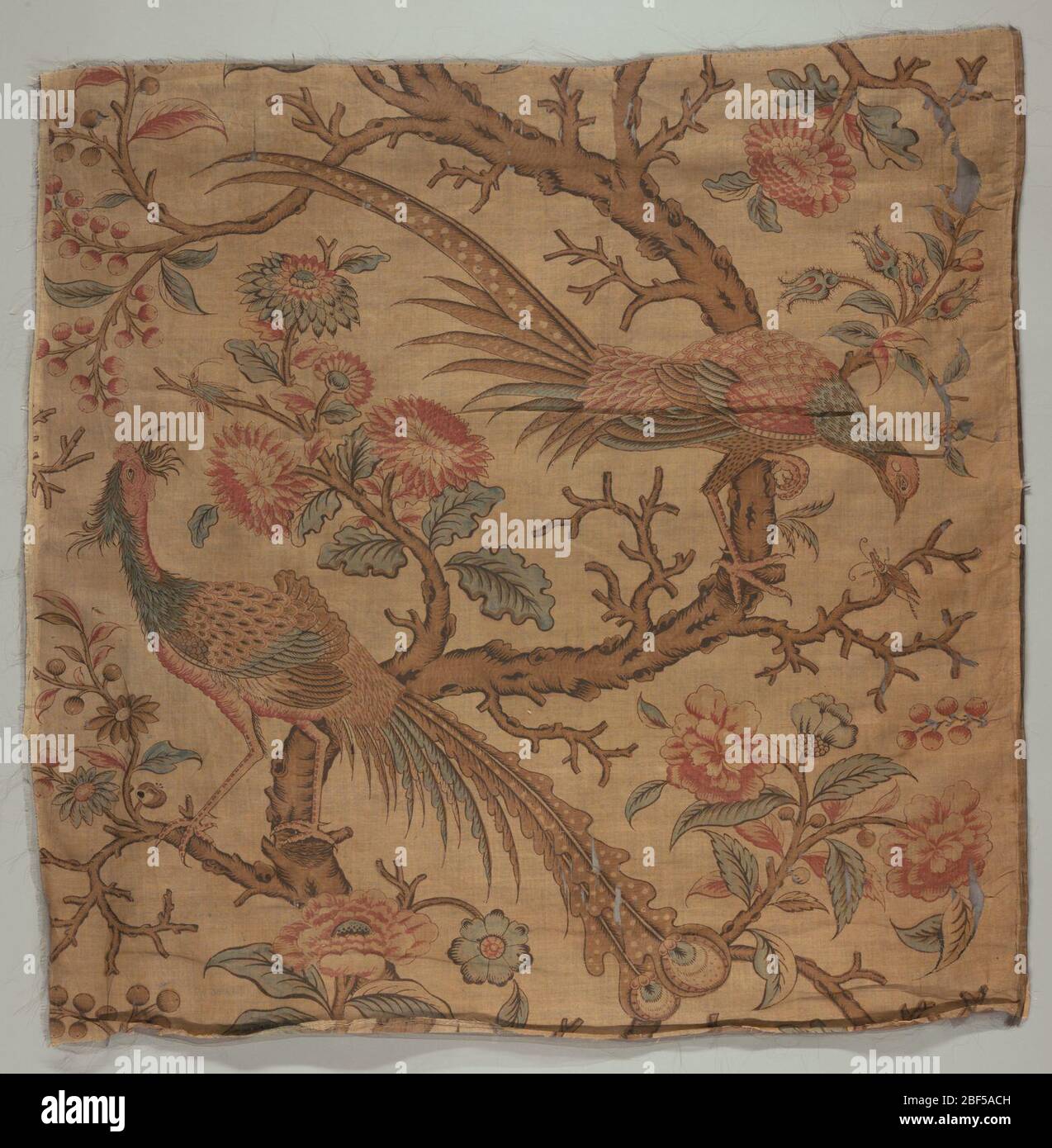 Textile. Printed panel in red, blue, yellow, green (blue with yellow) and shades of brown showing a large, curving tree trunk with two perching long-tailed birds. The one above leans down to pluck a grasshopper from a lower branch. Stock Photo