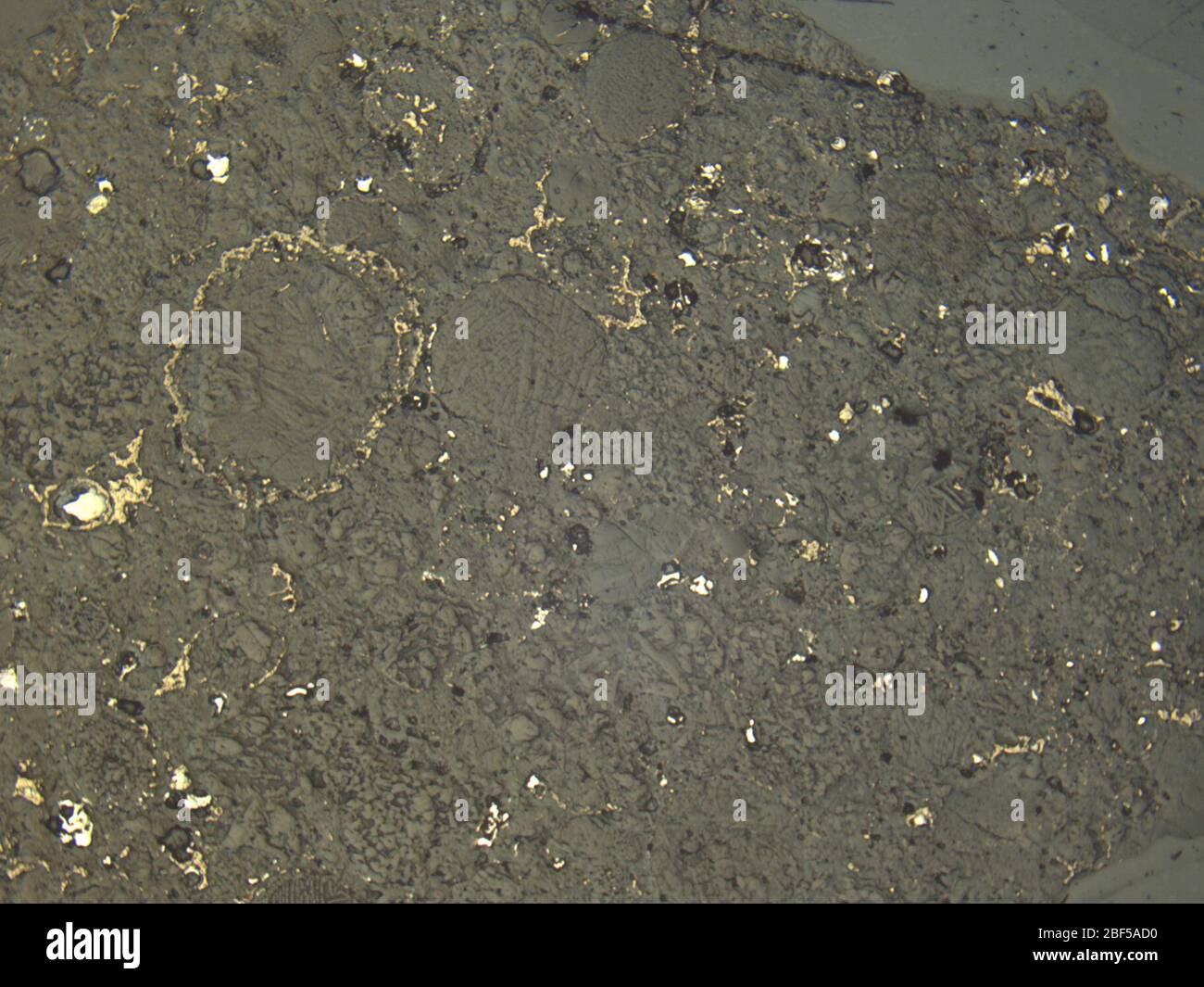 Micrograph of ALHA81030,5 meteorite under reflected light at 1.25x magnification. Stock Photo