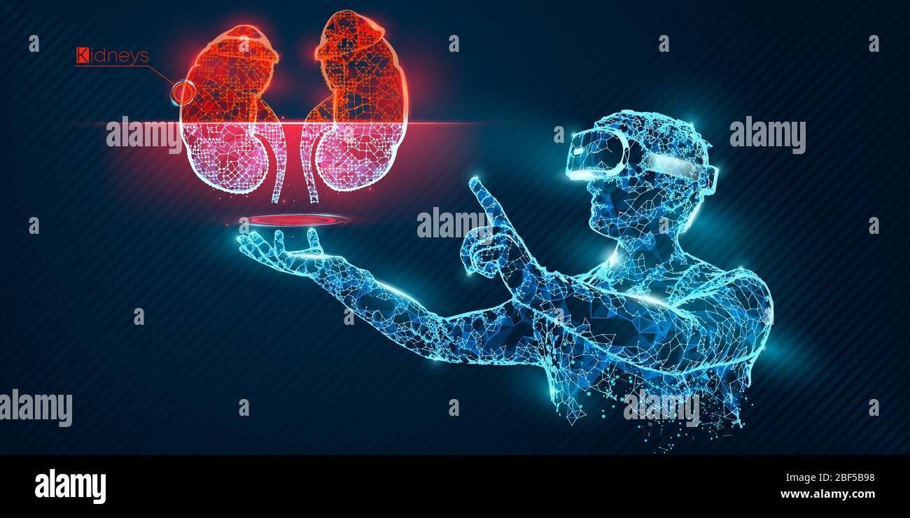 VR wireframe headset vector banner. Polygonal man wearing virtual reality glasses, with holographic of kidney. Science, diagnostics, virtual analytics Stock Vector