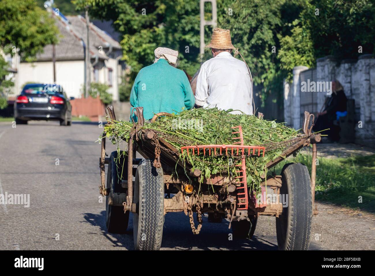 Horse drawn wagon on a road in village in Maramures County of northwestern Romania Stock Photo
