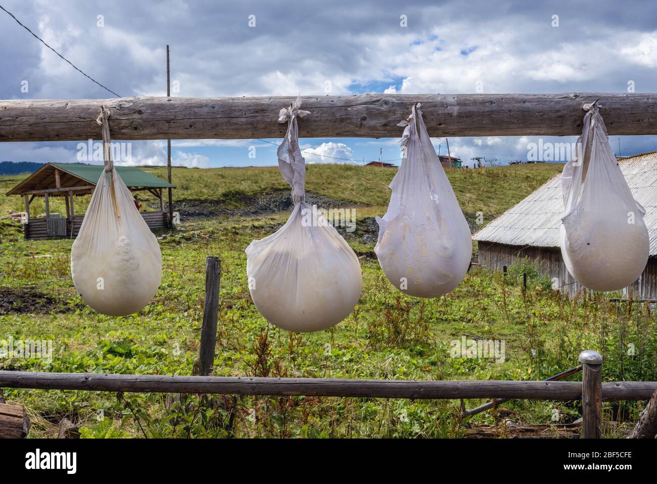 Traditional white fresh cheese made in small hut on a mountain in Borsa  resort in Rodna Mountains, located in Maramures County of Northern Romania  Stock Photo - Alamy