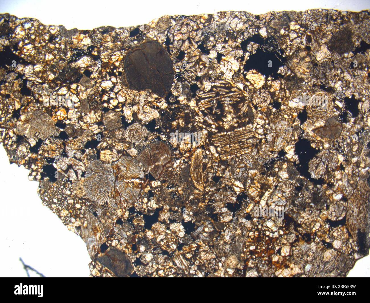 Micrograph of ALHA77230,7 meteorite under plane-polarized light at 1.25x magnification. Stock Photo
