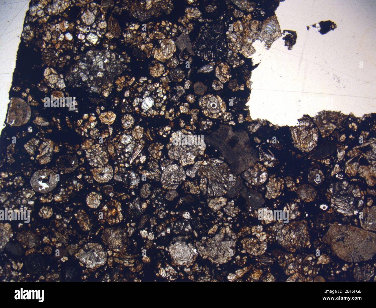Micrograph of LAR 04382,2 meteorite under plane-polarized light at 1 ...