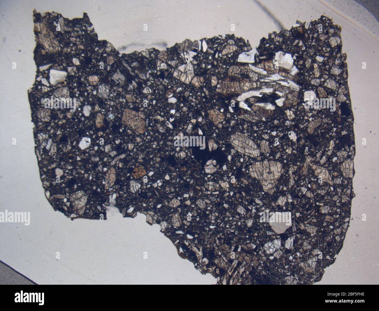 Micrograph of EET 92022,2 meteorite under plane-polarized light at 1 ...