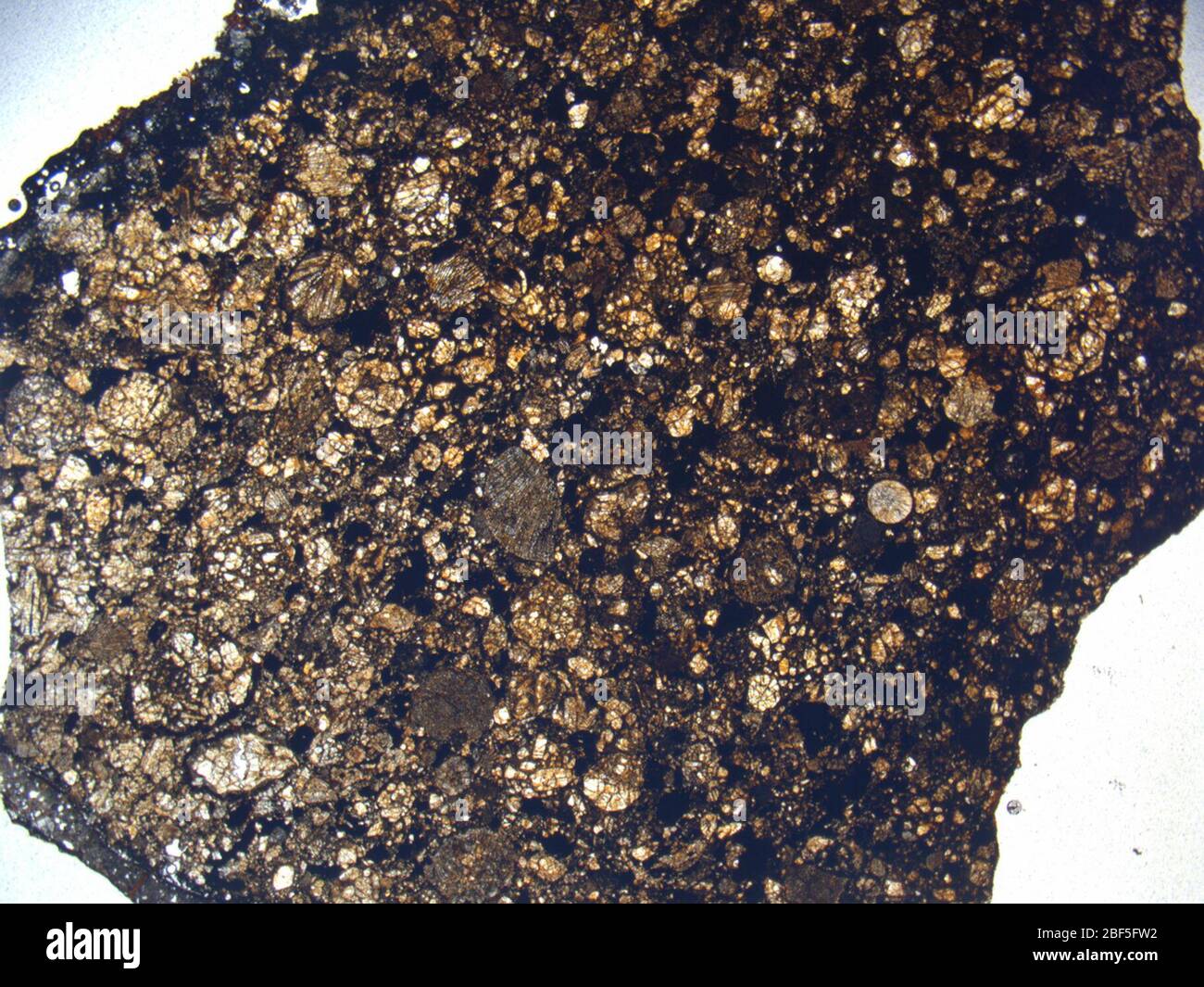 Micrograph of LAP 03965,2 meteorite under plane-polarized light at 1 ...