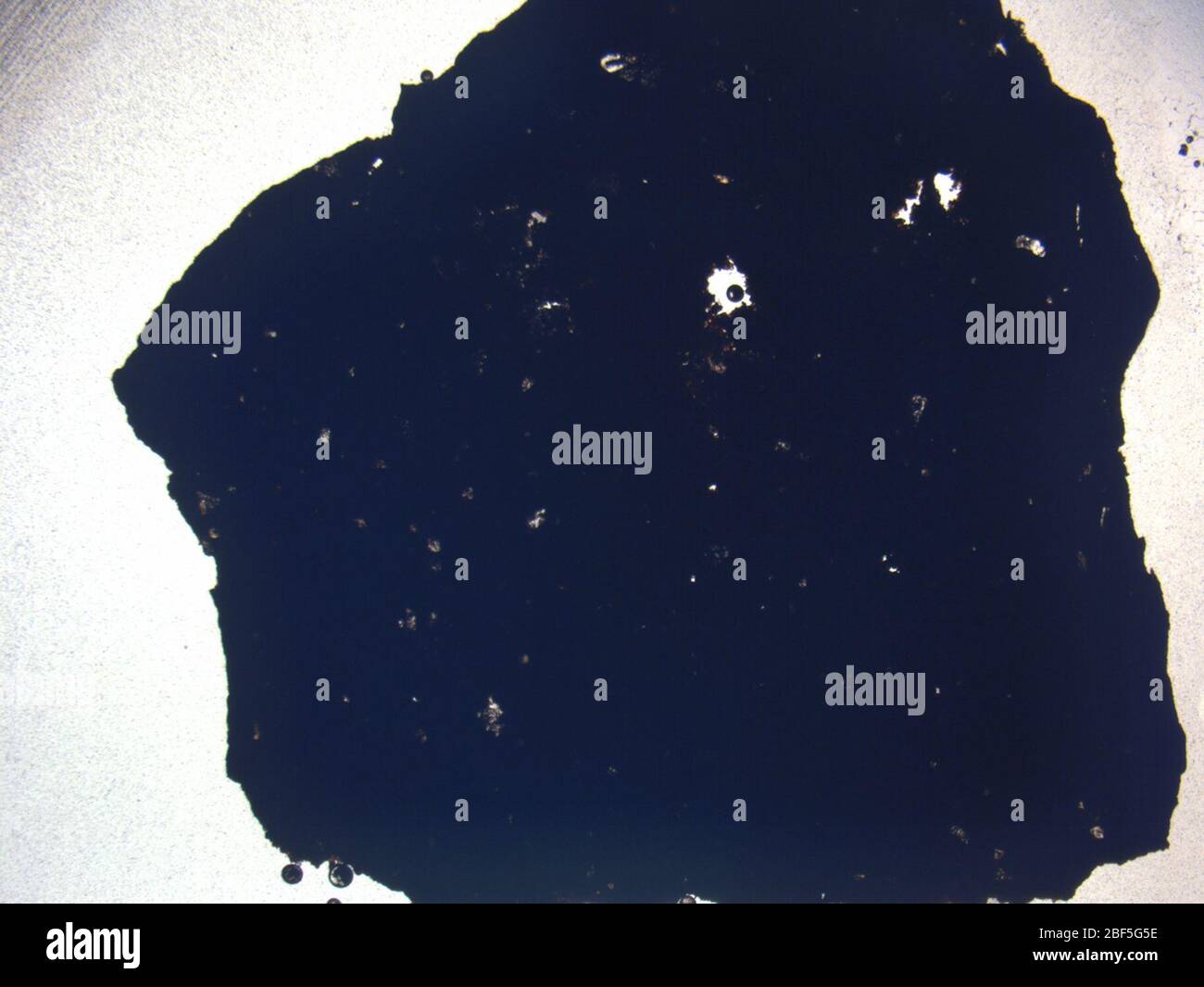 Micrograph of LAP 04614,2 meteorite under plane-polarized light at 1 ...