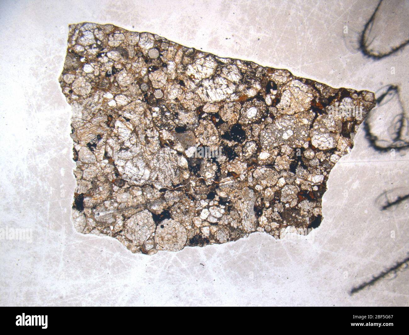 Micrograph of ALHA77160,3 meteorite under plane-polarized light at 1.25x magnification. Stock Photo