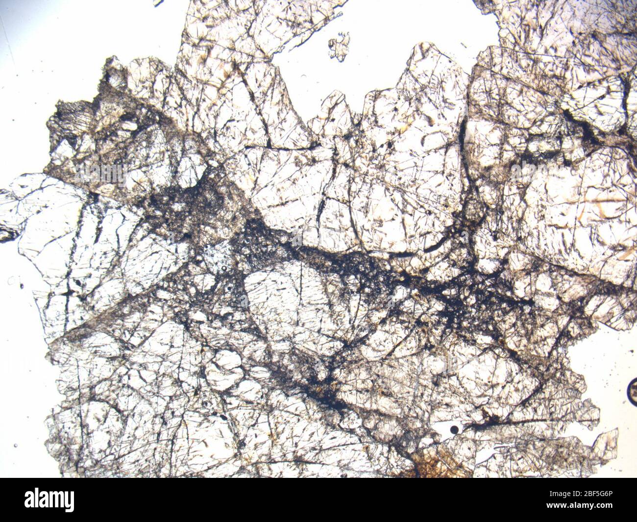 Micrograph of LAP 04837,3 meteorite under plane-polarized light at 1 ...
