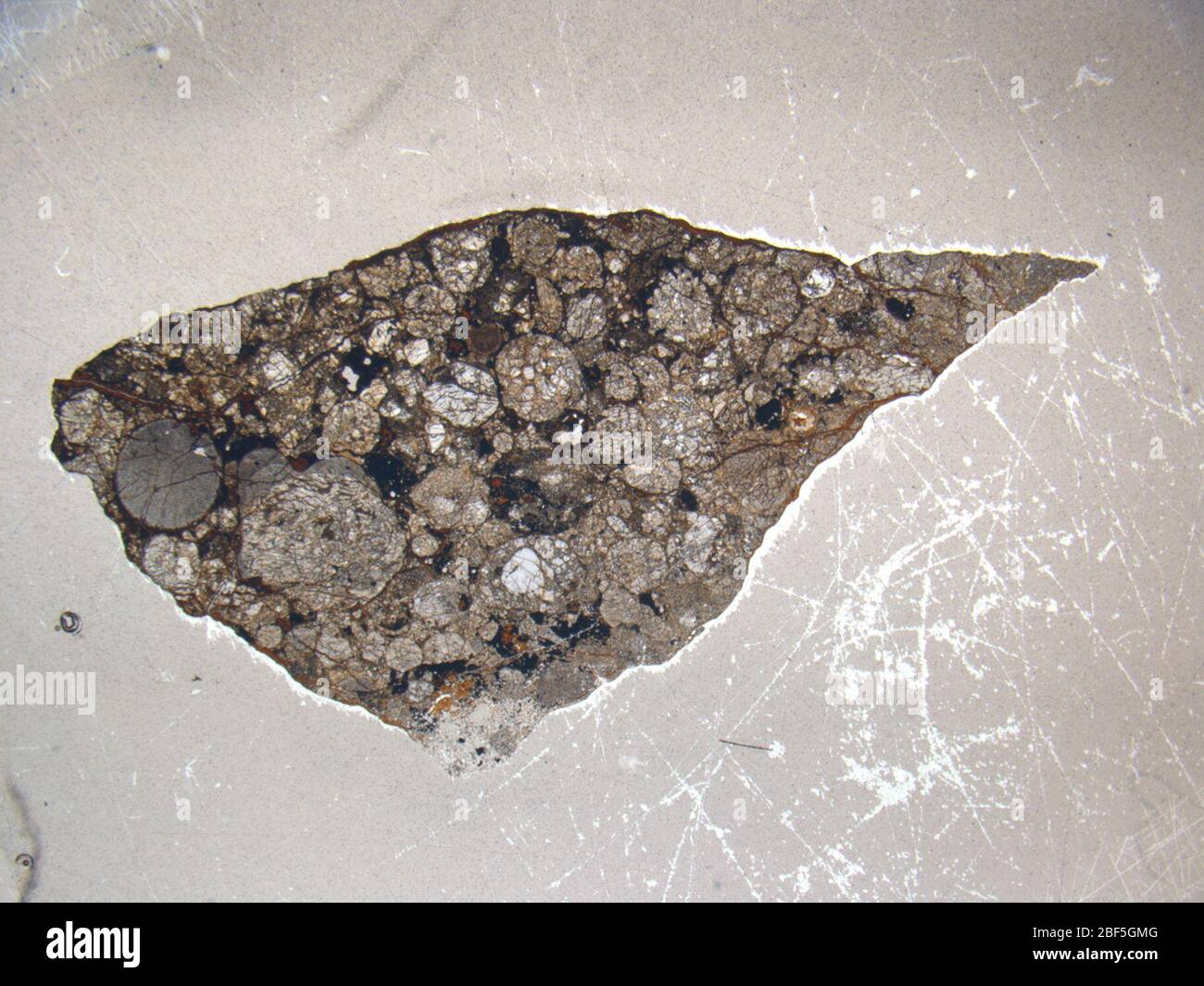 Micrograph of ALHA77033,3 meteorite under plane-polarized light at 1.25x magnification. Stock Photo