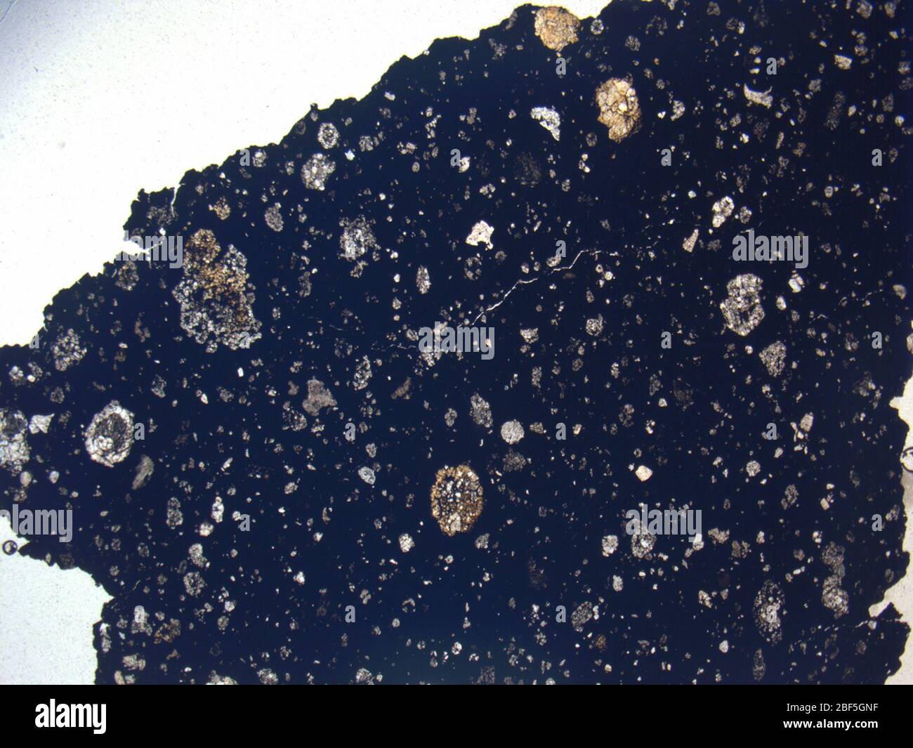 Micrograph of LAP 04514,2 meteorite under plane-polarized light at 1 ...