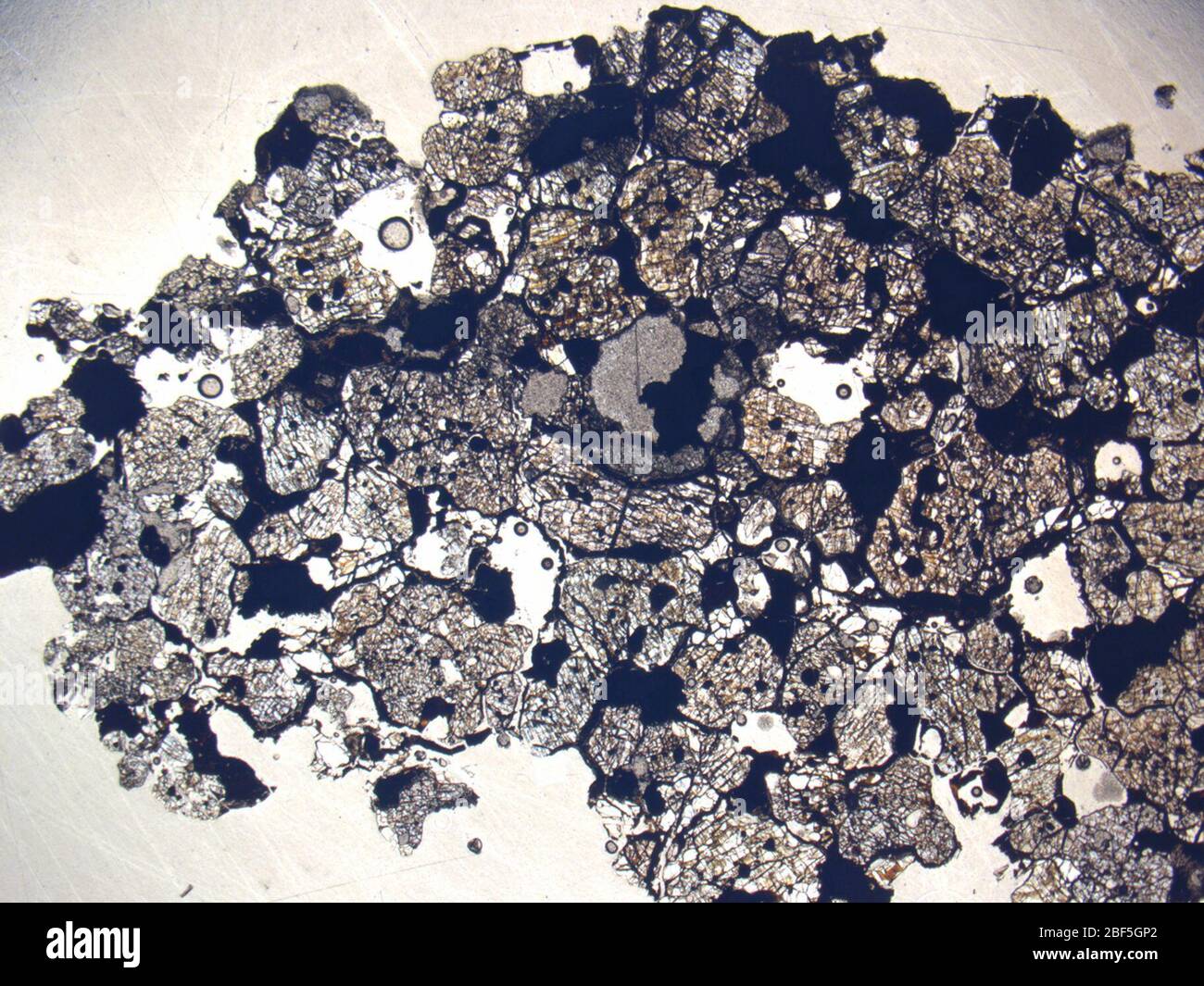Micrograph of QUE 97289,2 meteorite under plane-polarized light at 1 ...