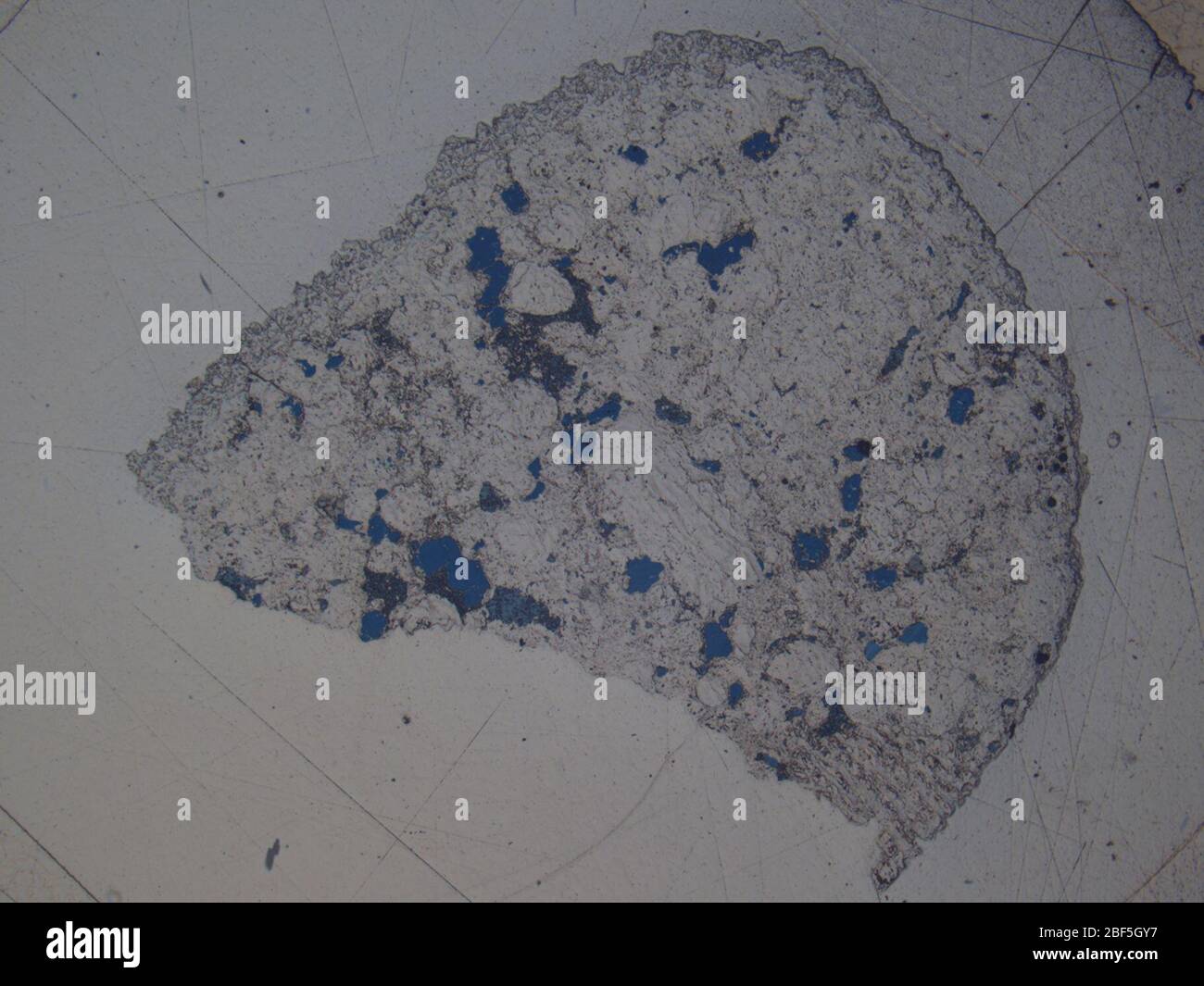 Micrograph of MAC 88161,3 meteorite under reflected light at 1.25x magnification. Stock Photo