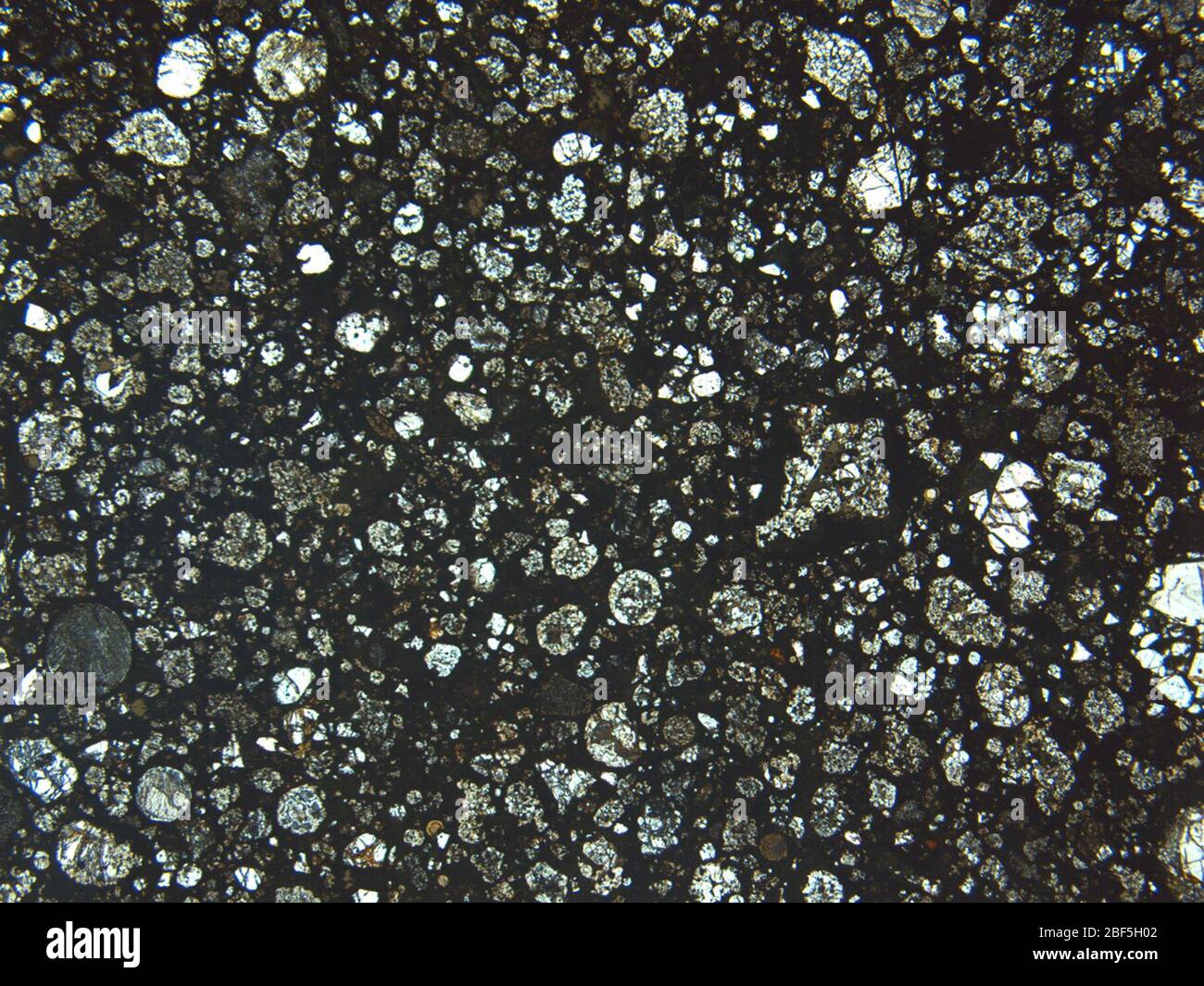 Micrograph of MIL 07444,2 meteorite under planepolarized light at 2.5x magnification Stock