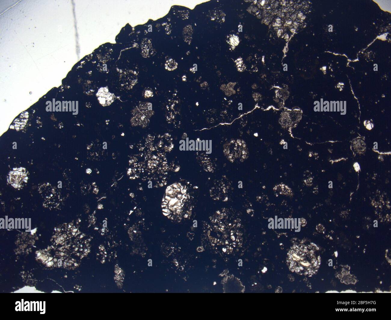 Micrograph of LAR 06628,3 meteorite under plane-polarized light at 1 ...