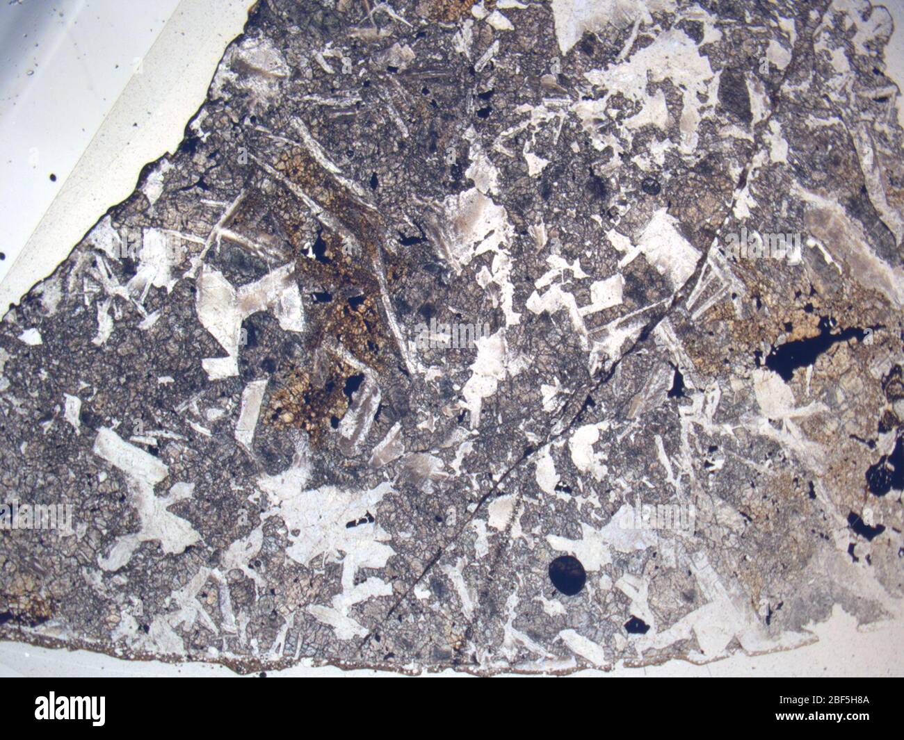 Micrograph of RKPA80224,2 meteorite under plane-polarized light at 1.25x magnification. Stock Photo