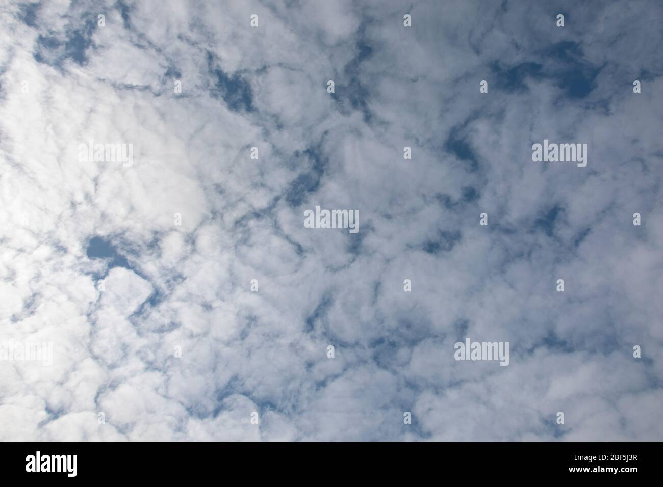 Blue sky with soft puffy clouds, close-up background. Stock Photo