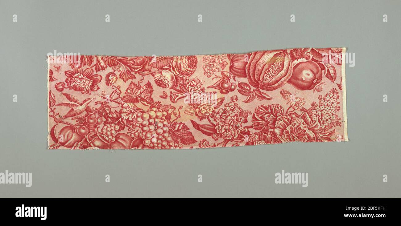 Textile. Long narrow panel printed in red on white showing design of flowers, insects and birds. Incomplete repeat. Stock Photo