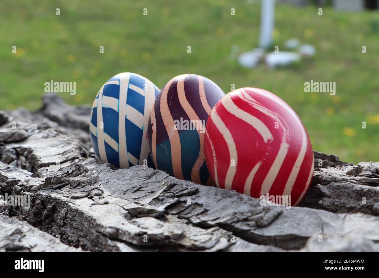 Eastern eggs on a walnut bark with a grass background Stock Photo