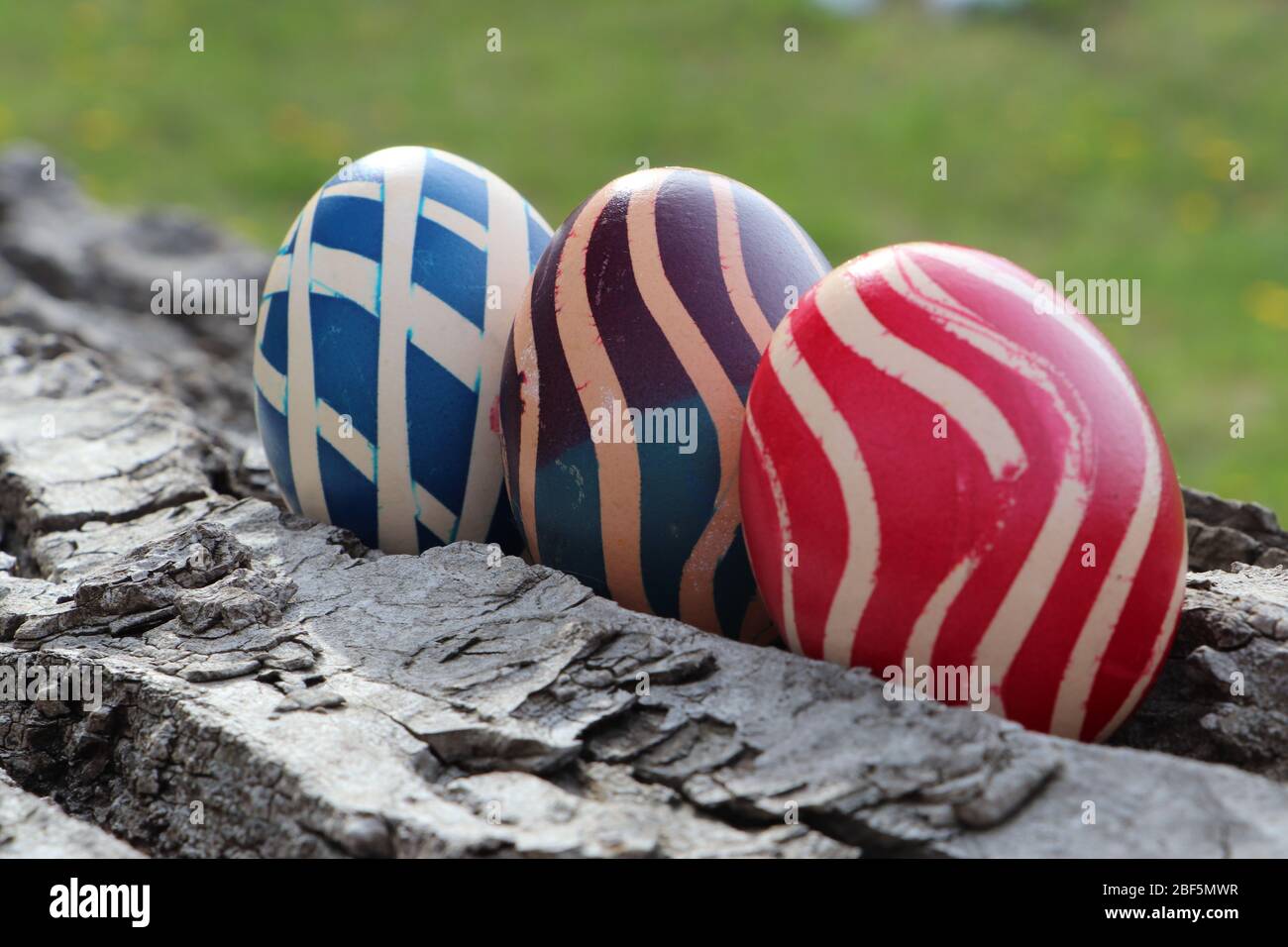 Eastern eggs on a walnut bark with a grass background Stock Photo