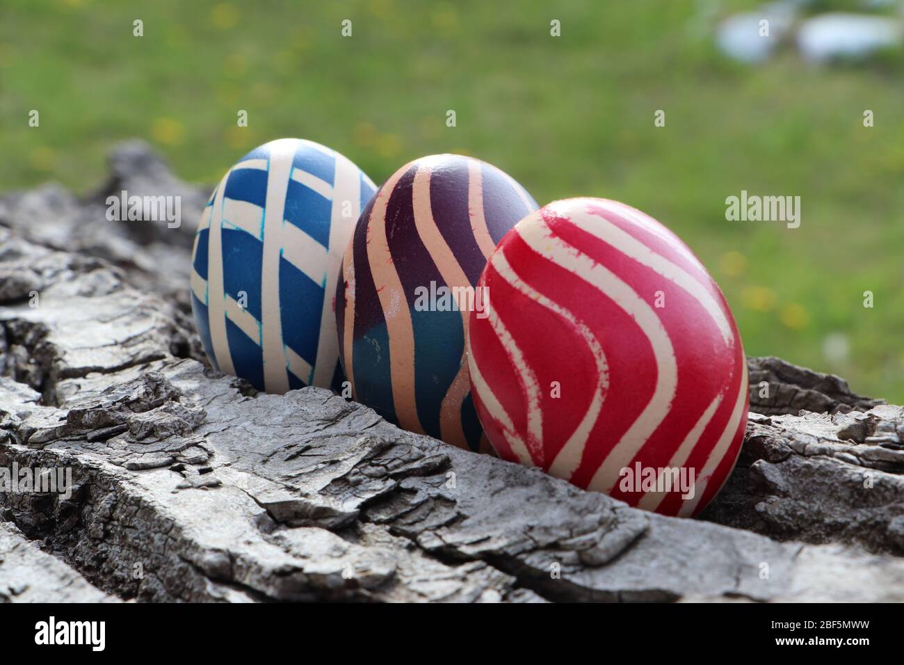 Eastern eggs on a walnut bark with a grass background Stock Photo