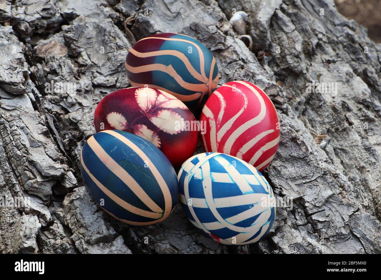 Easter eggs uniquely painted on a walnut bark background Stock Photo