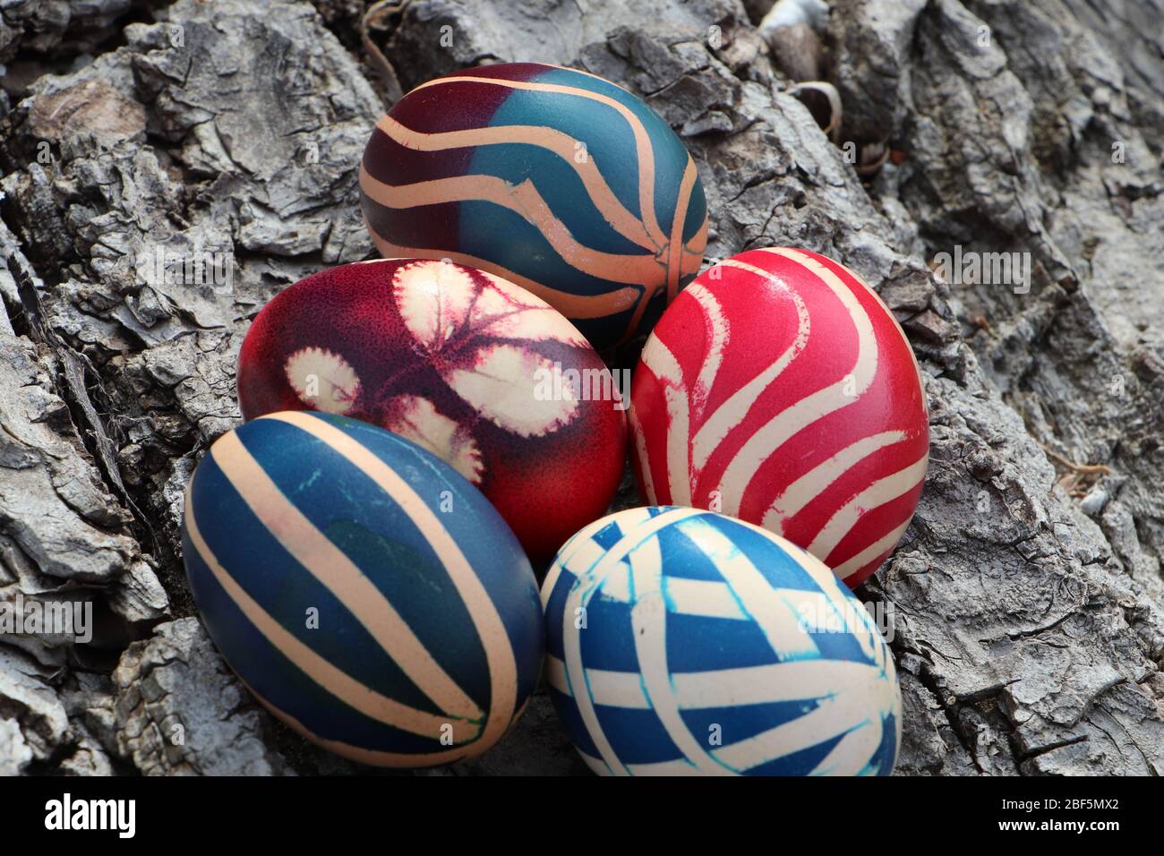 Easter eggs uniquely painted on a walnut bark background Stock Photo