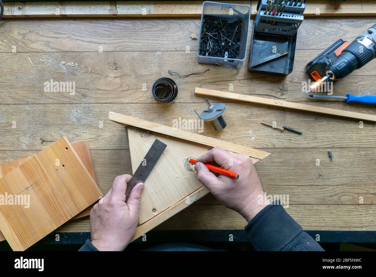 build birdhouse, wood, screws and tools lying on the bench Stock Photo