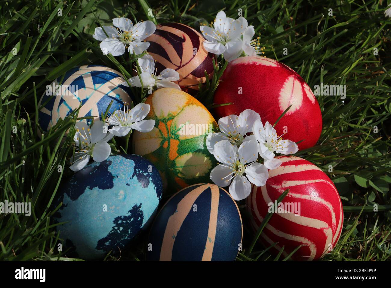 Easter eggs colorful painted on grass background Stock Photo