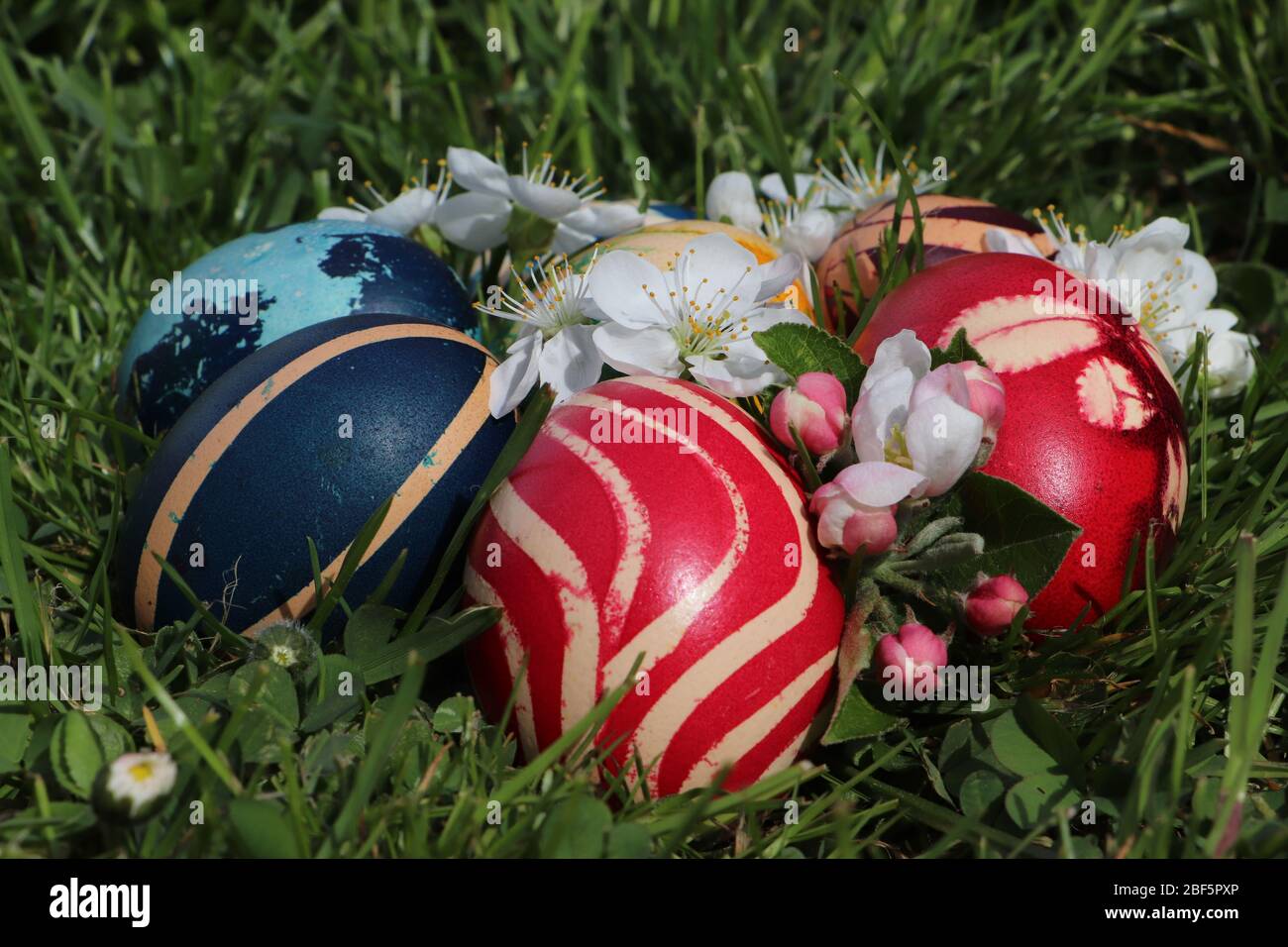 Easter eggs colorful painted on grass background Stock Photo