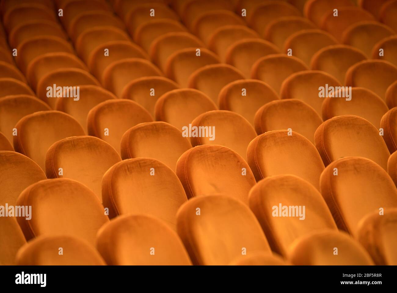 Empty theatrical rows of benches. Brown mirror velvet cover indoors. Stock Photo