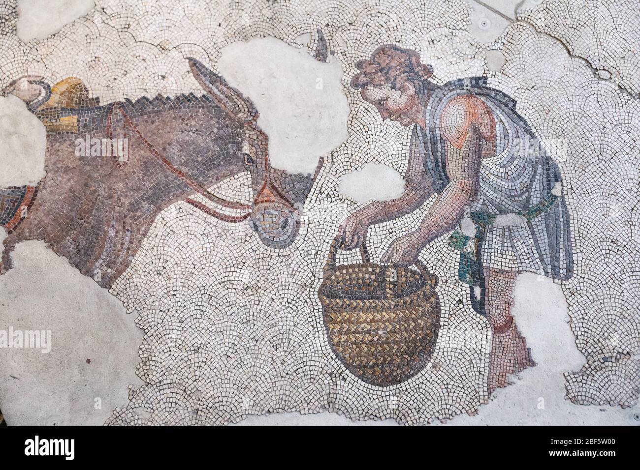 Great Palace Mosaic Museum in Istanbul City, Turkey Stock Photo - Alamy