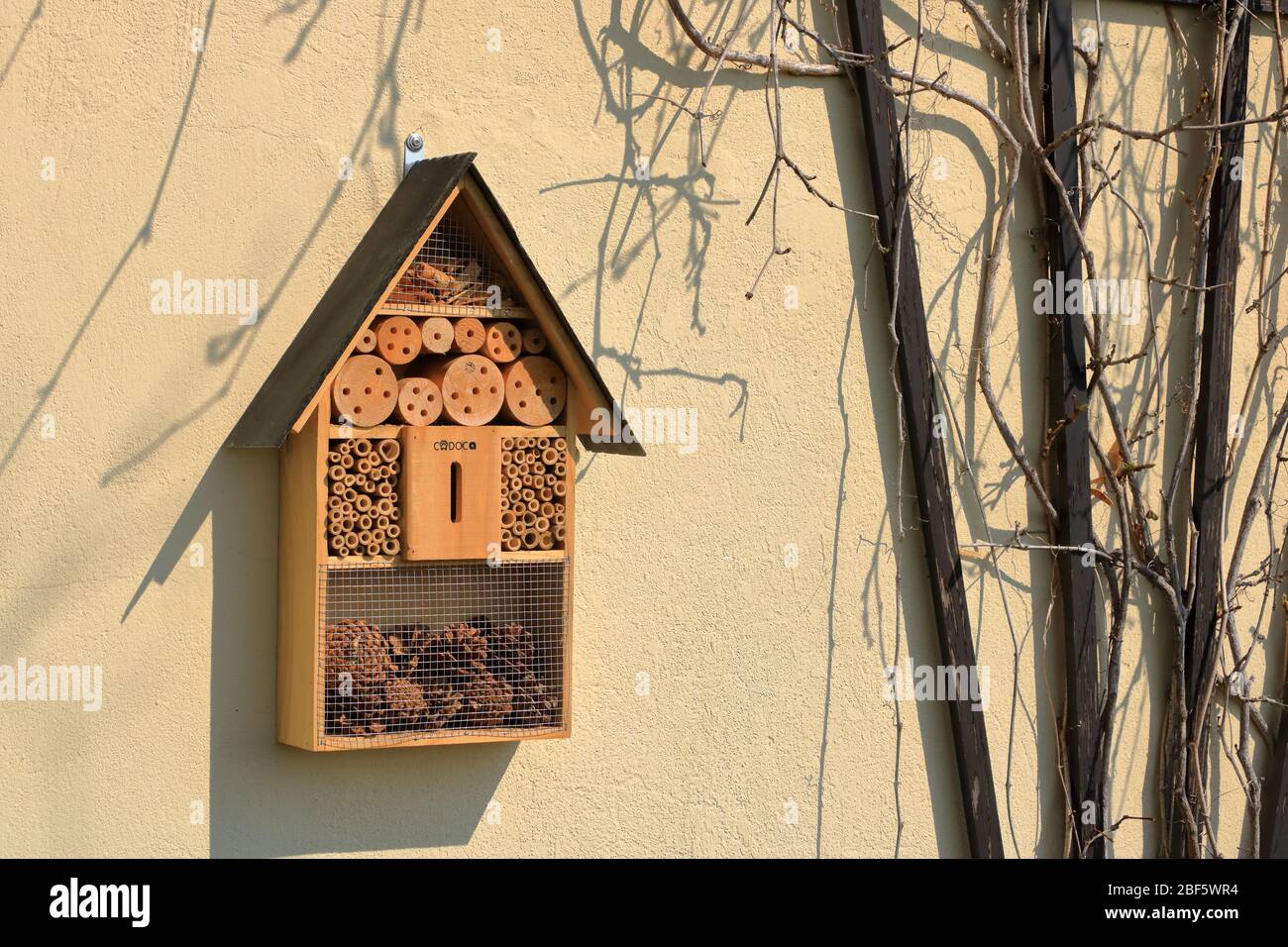 a wild bee and insect shelter hotel Stock Photo - Alamy