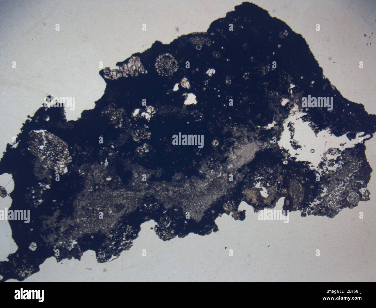 Micrograph of LAP 031022,2 meteorite under plane-polarized light at 1 ...