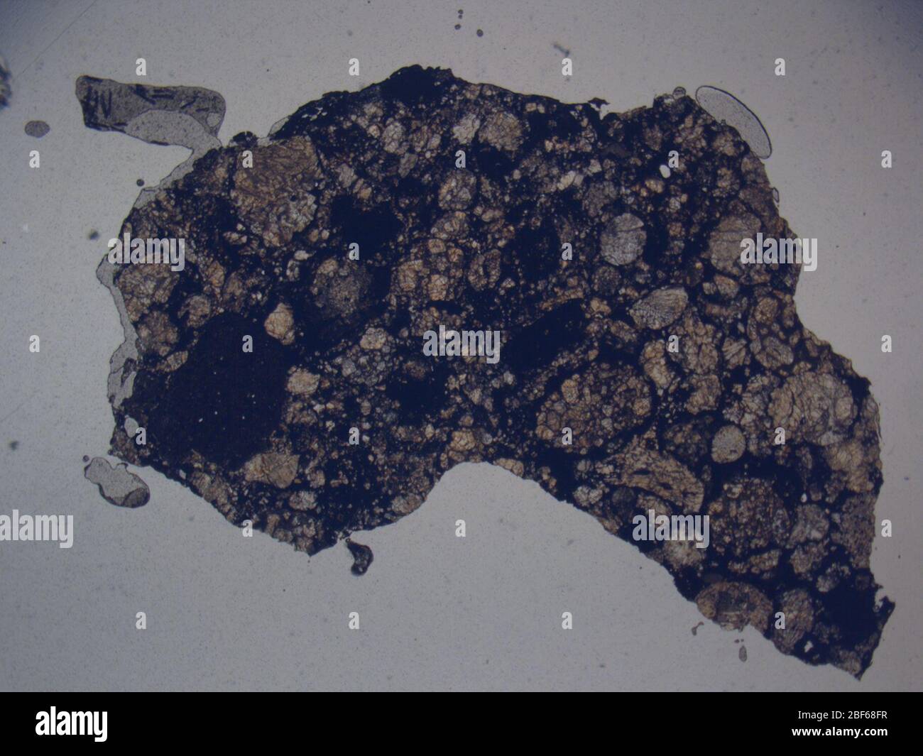 Micrograph of LAP 031097,2 meteorite under plane-polarized light at 1 ...