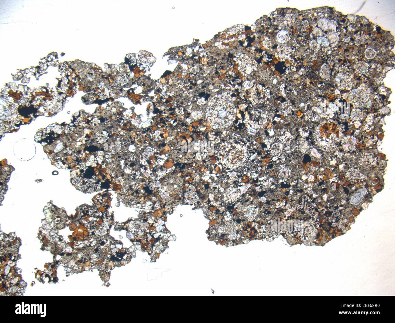 Micrograph of LAP 10031,2 meteorite under plane-polarized light at 1 ...