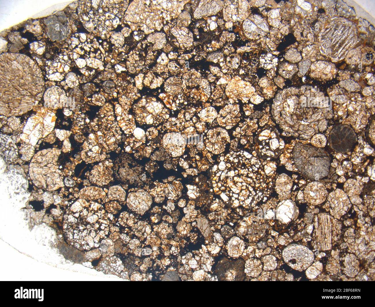 Micrograph of ALHA81229,2 meteorite under plane-polarized light at 1.25x magnification. Stock Photo