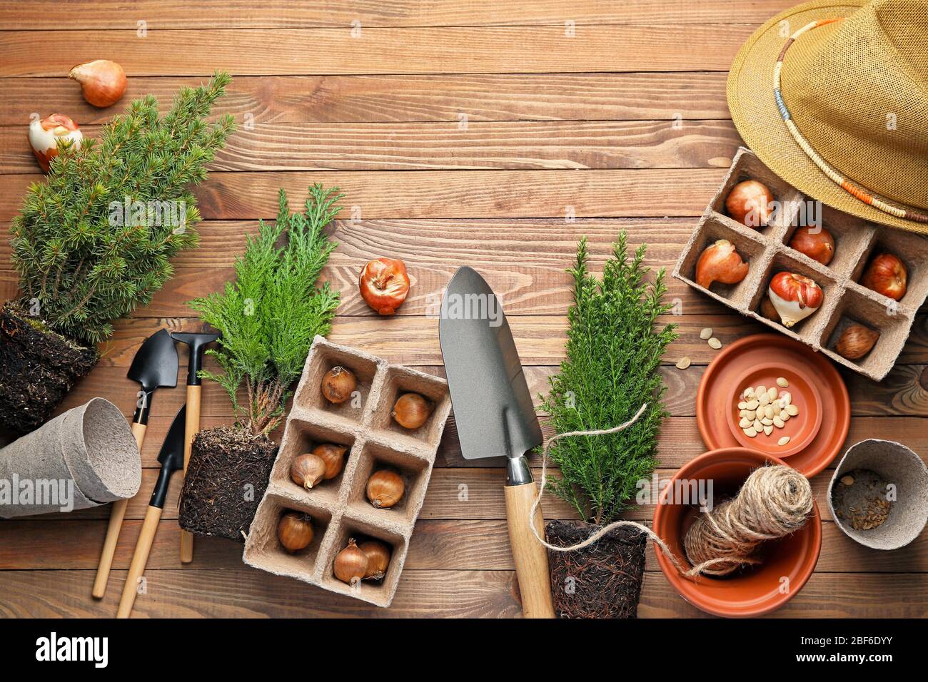 Set plants gardening supplies hi-res stock photography and images - Alamy