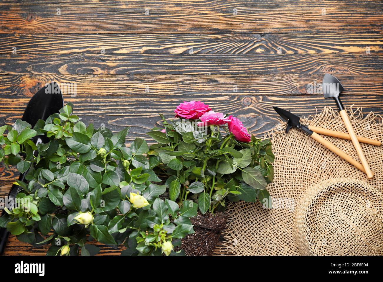 Gardening supplies table top hi-res stock photography and images - Alamy