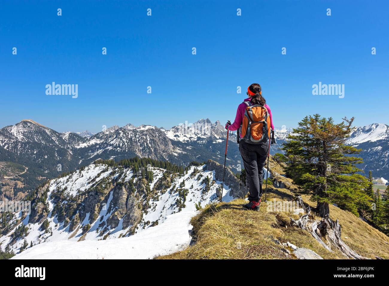 Woman hiking in the mountains. Allgäu Alps, Tirol, Austria Stock Photo